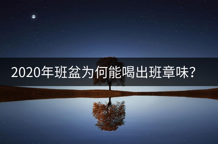 2020年班盆為何能喝出班章味？-易武中聘號(hào)