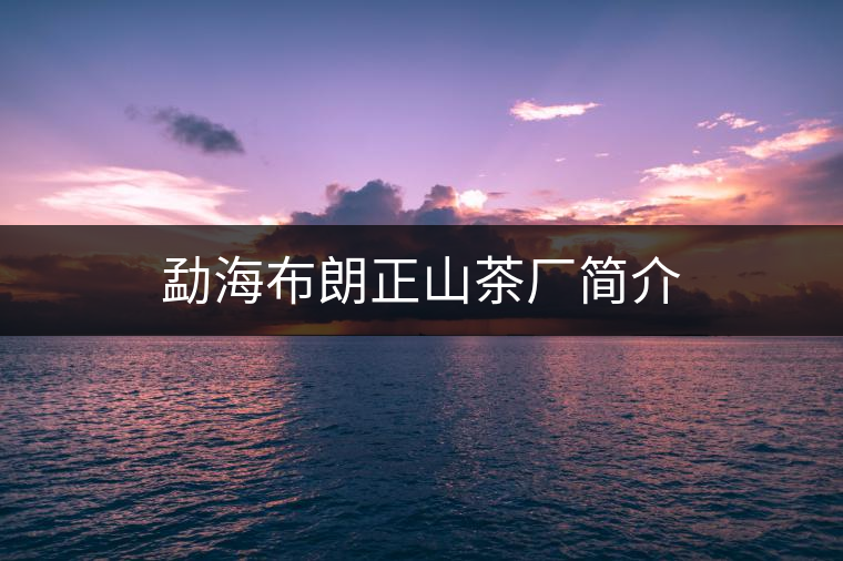 勐海布朗正山茶廠簡介