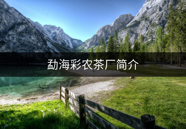 勐海彩農(nóng)茶廠簡(jiǎn)介