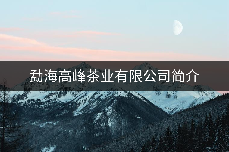 勐海高峰茶業(yè)有限公司簡介