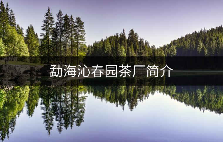 勐海沁春園茶廠簡(jiǎn)介 勐海沁春園茶廠簡(jiǎn)介