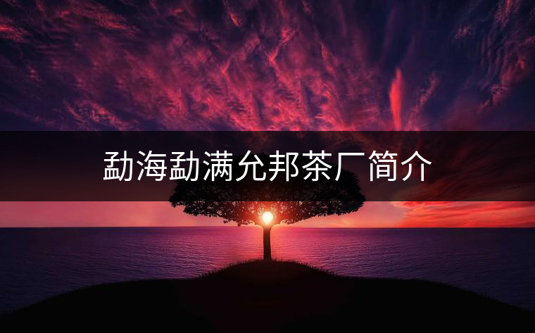 勐海勐滿允邦茶廠簡介