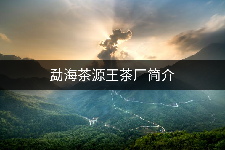 勐海茶源王茶廠簡介
