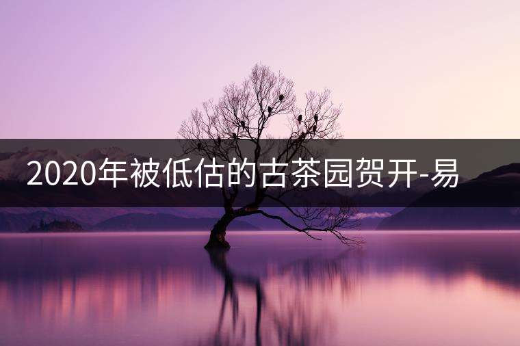 2020年被低估的古茶園賀開-易武中聘號