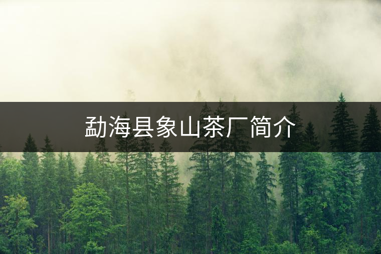 勐?？h象山茶廠簡(jiǎn)介