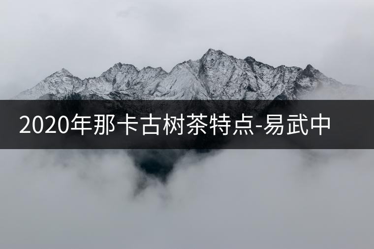 2020年那卡古樹茶特點(diǎn)-易武中聘號(hào) 2020年那卡古樹茶特點(diǎn)-易武中聘號(hào)