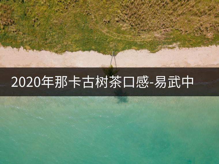 2020年那卡古樹(shù)茶口感-易武中聘號(hào)