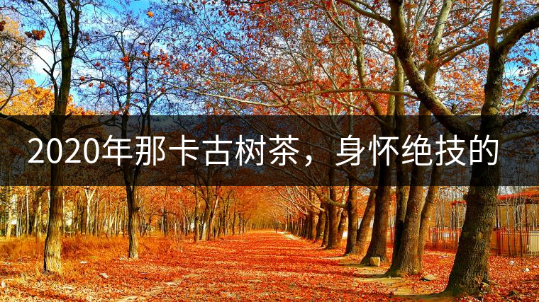 2020年那卡古樹(shù)茶，身懷絕技的“小班章” -易武中聘號(hào)