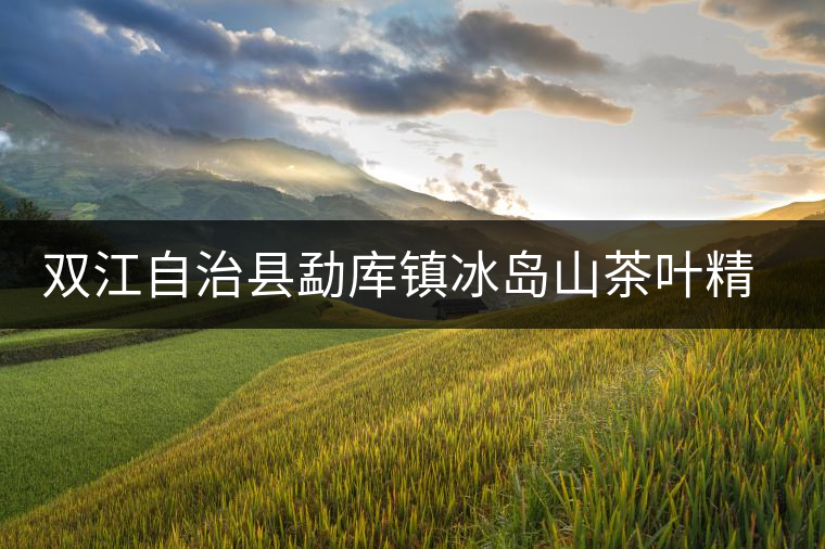 雙江自治縣勐庫鎮(zhèn)冰島山茶葉精制廠簡介
