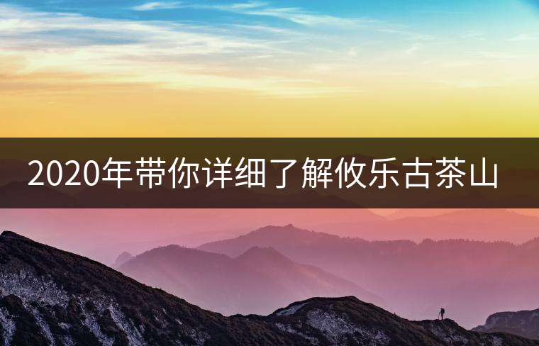 2020年帶你詳細(xì)了解攸樂古茶山-易武中聘號(hào) 2020年帶你詳細(xì)了解攸樂古茶山-易武中聘號(hào)