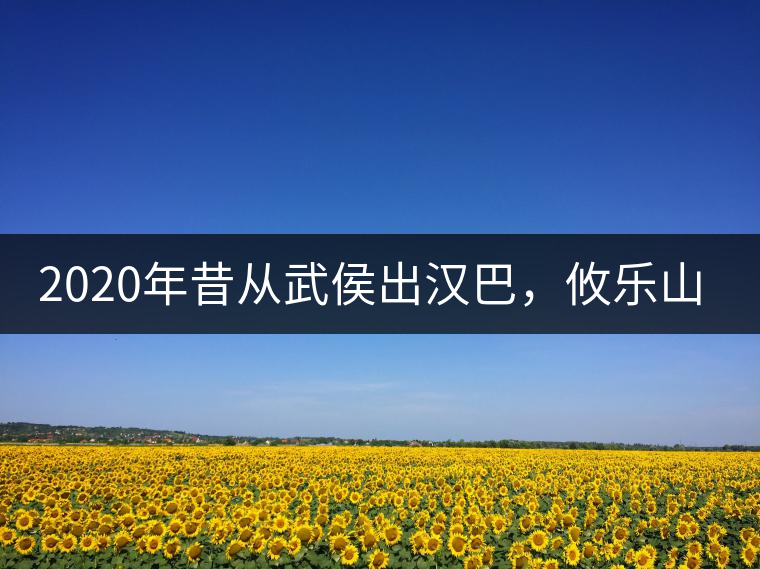 2020年昔從武侯出漢巴，攸樂山中只種茶。-易武中聘號