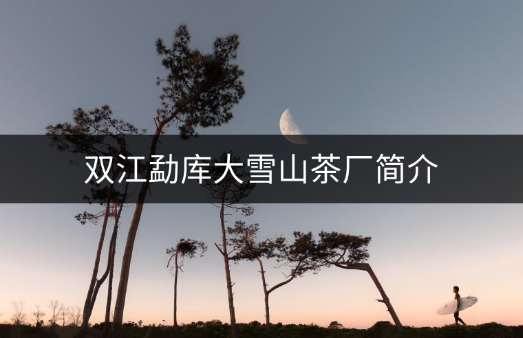 雙江勐庫大雪山茶廠簡介