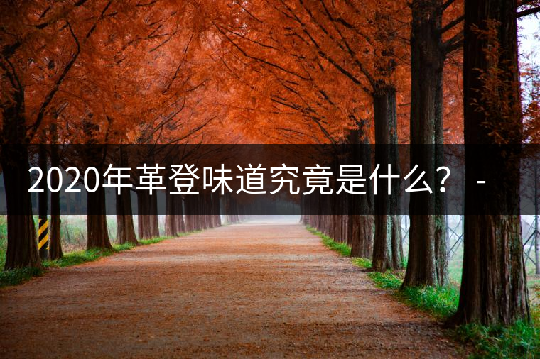 2020年革登味道究竟是什么？ -易武中聘號(hào)