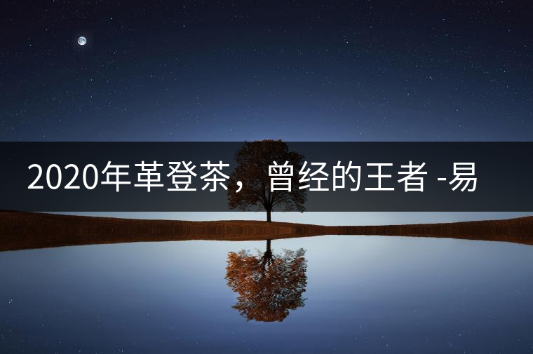 2020年革登茶，曾經(jīng)的王者 -易武中聘號(hào)