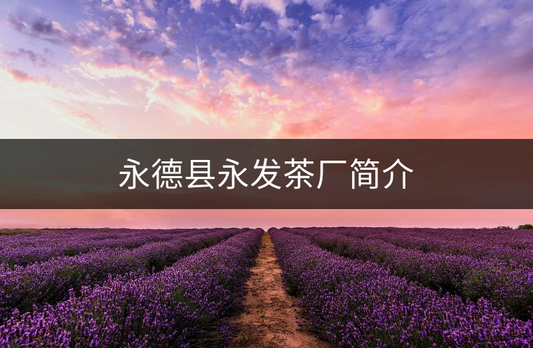 永德縣永發(fā)茶廠簡(jiǎn)介