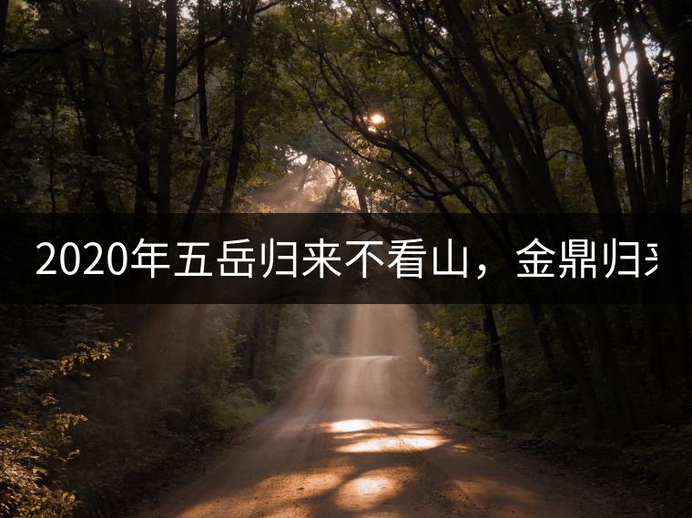 2020年五岳歸來不看山，金鼎歸來不看茶   -易武中聘號
