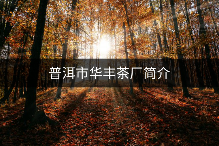 普洱市華豐茶廠簡(jiǎn)介