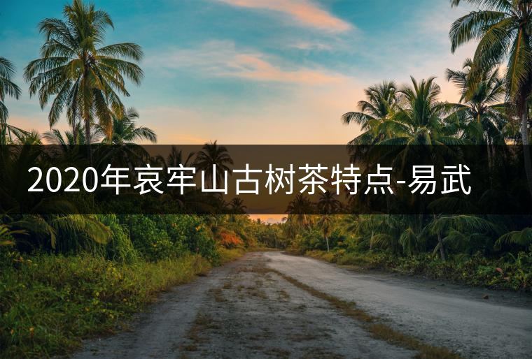 2020年哀牢山古樹茶特點-易武中聘號