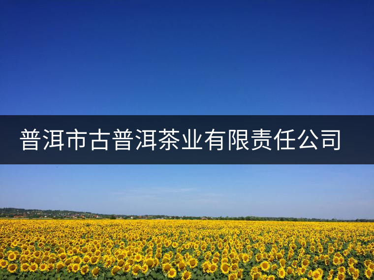 普洱市古普洱茶業(yè)有限責(zé)任公司簡介