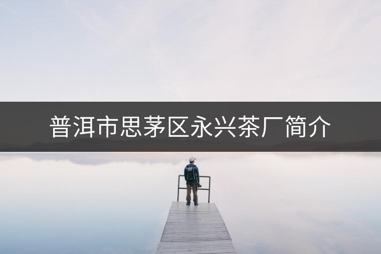 普洱市思茅區(qū)永興茶廠簡介
