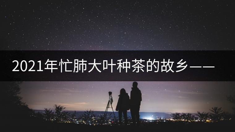 2021年忙肺大葉種茶的故鄉(xiāng)——臨滄永德 -易武中聘號