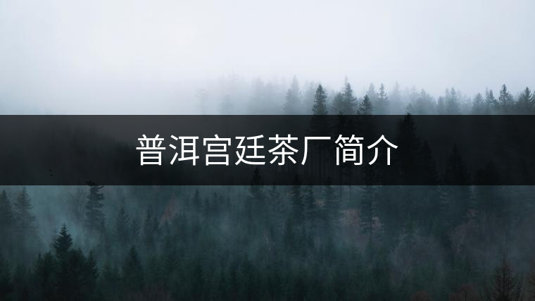 普洱宮廷茶廠簡介