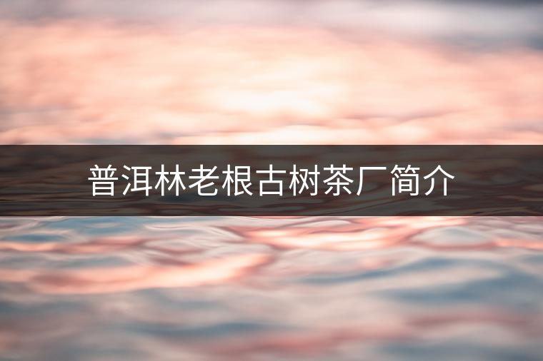 普洱林老根古樹(shù)茶廠(chǎng)簡(jiǎn)介