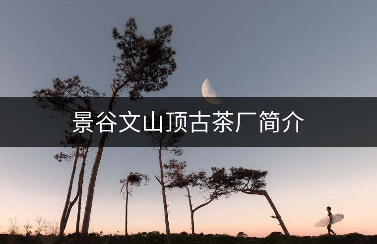 景谷文山頂古茶廠簡(jiǎn)介