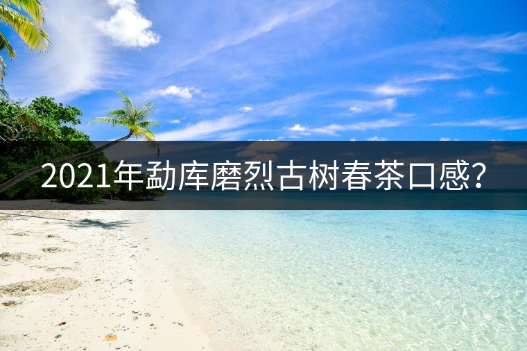 2021年勐庫磨烈古樹春茶口感？