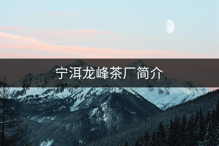 寧洱龍峰茶廠(chǎng)簡(jiǎn)介 寧洱龍峰茶廠(chǎng)簡(jiǎn)介