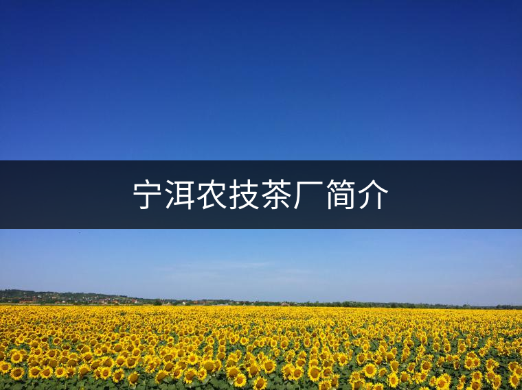 寧洱農(nóng)技茶廠簡介