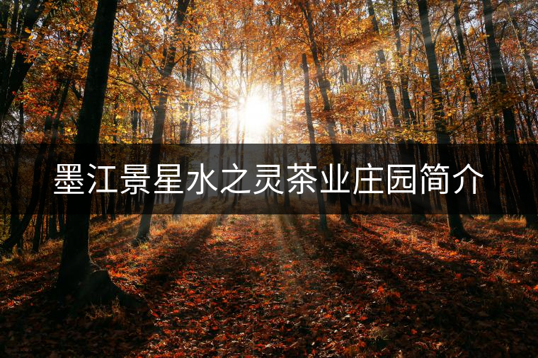 墨江景星水之靈茶業(yè)莊園簡(jiǎn)介