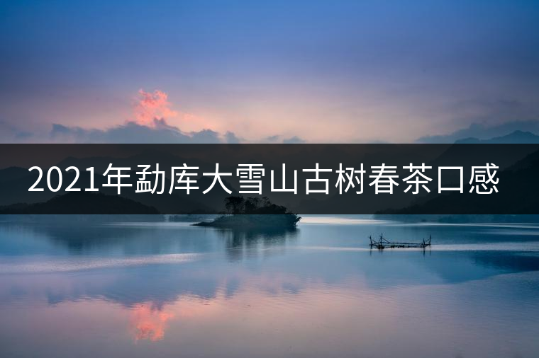 2021年勐庫大雪山古樹春茶口感特點？