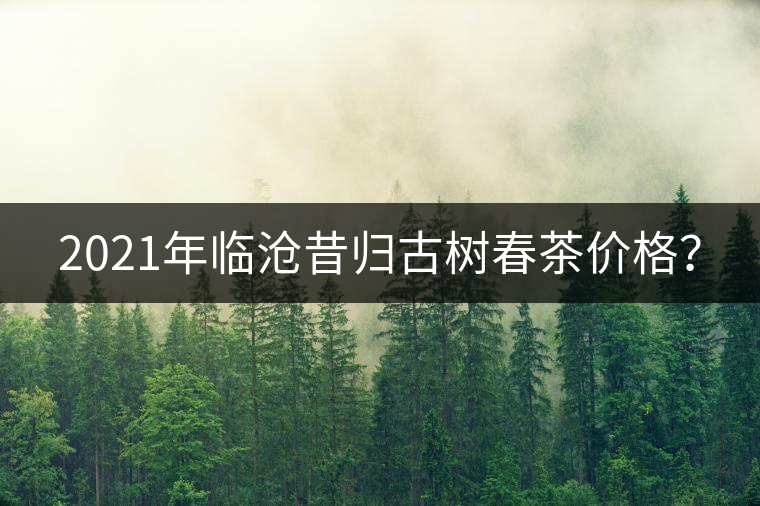 2021年臨滄昔歸古樹春茶價(jià)格？