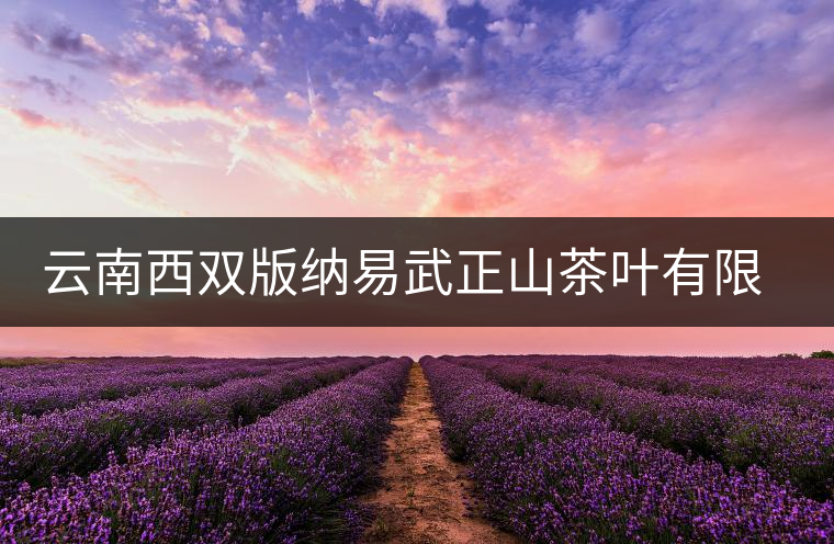 云南西雙版納易武正山茶葉有限公司簡介