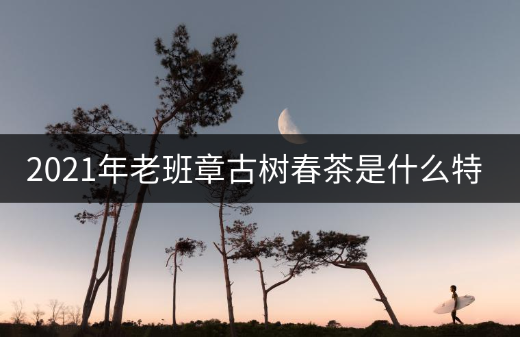 2021年老班章古樹春茶是什么特點？