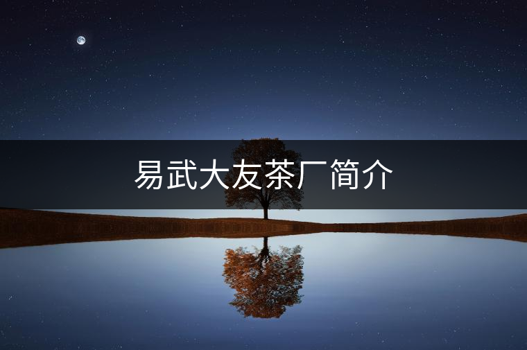 易武大友茶廠簡介