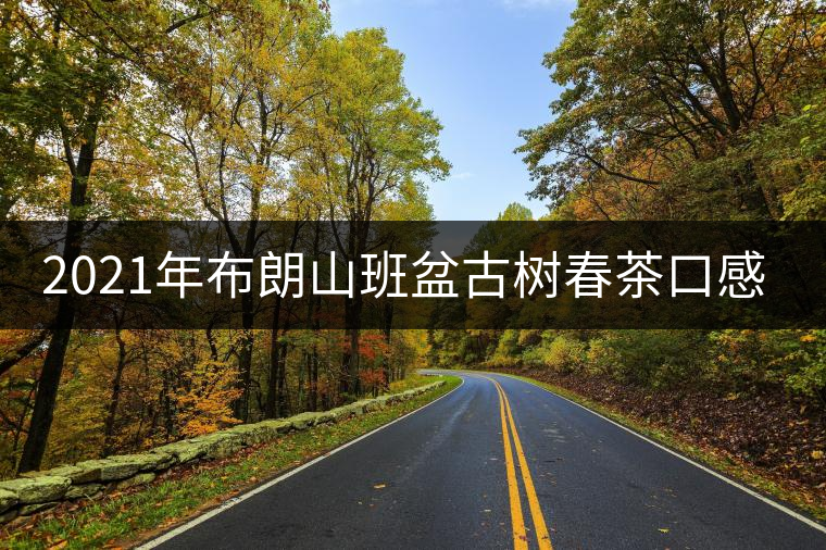 2021年布朗山班盆古樹(shù)春茶口感特點(diǎn)？