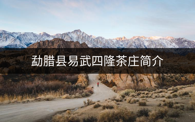 勐臘縣易武四隆茶莊簡介 勐臘縣易武四隆茶莊簡介