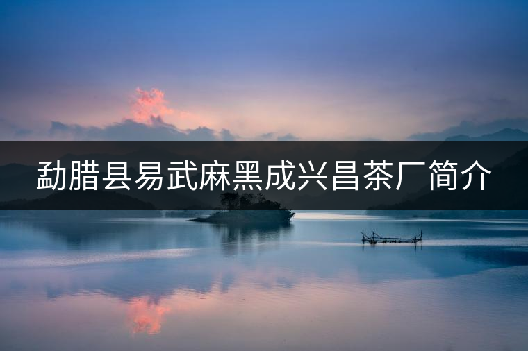 勐臘縣易武麻黑成興昌茶廠簡介