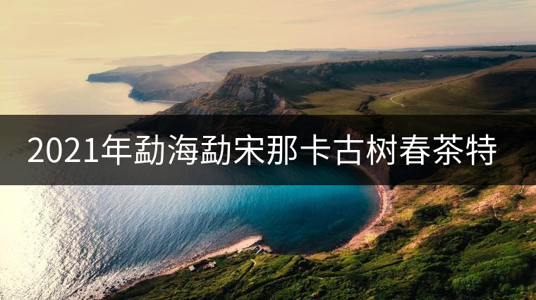 2021年勐海勐宋那卡古樹春茶特點(diǎn)？