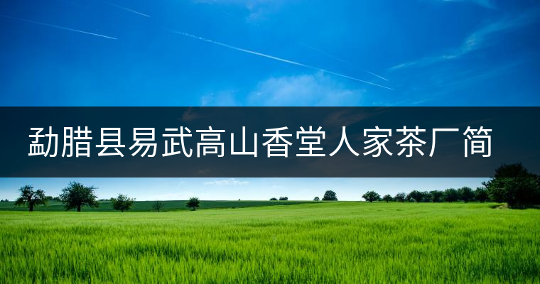 勐臘縣易武高山香堂人家茶廠簡介