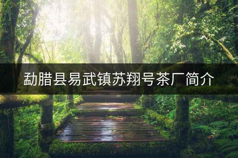 勐臘縣易武鎮(zhèn)蘇翔號(hào)茶廠簡(jiǎn)介