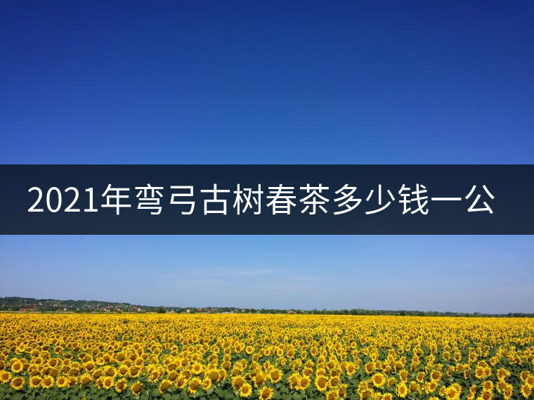 2021年彎弓古樹春茶多少錢一公斤？