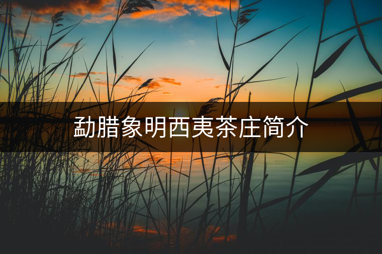 勐臘象明西夷茶莊簡介