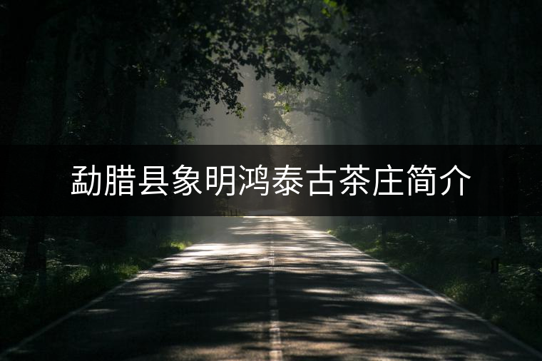 勐臘縣象明鴻泰古茶莊簡(jiǎn)介