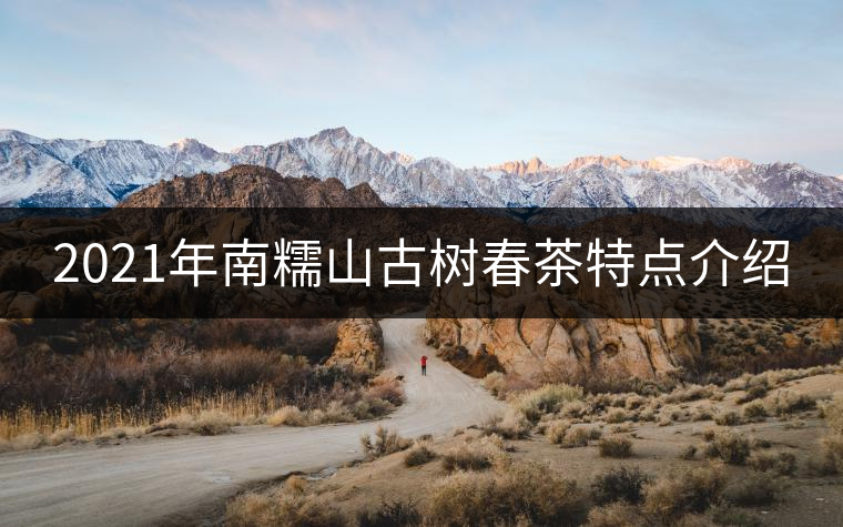 2021年南糯山古樹(shù)春茶特點(diǎn)介紹