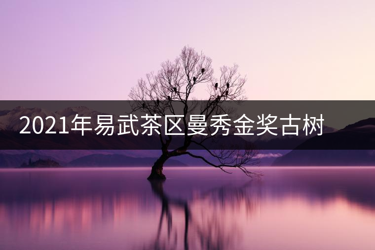 2021年易武茶區(qū)曼秀金獎古樹茶春茶口感特點