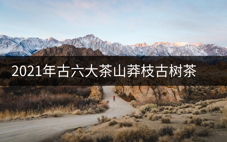 2021年古六大茶山莽枝古樹茶春茶口感特點(diǎn)