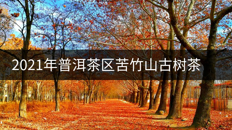 2021年普洱茶區(qū)苦竹山古樹茶春茶口感特點